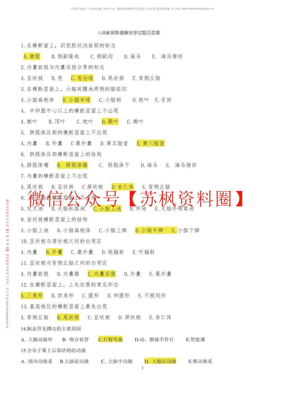 人体断层影像解剖学